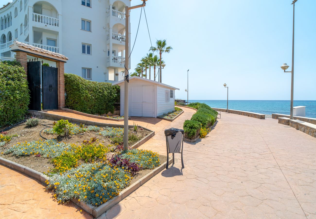 Apartamento en Nerja - Stella Maris Beachfront 1J by Casasol