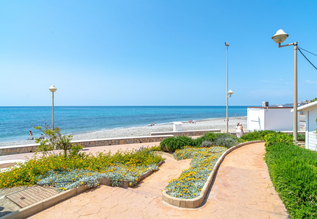 Apartamento en Nerja - Stella Maris Beachfront 1J by Casasol