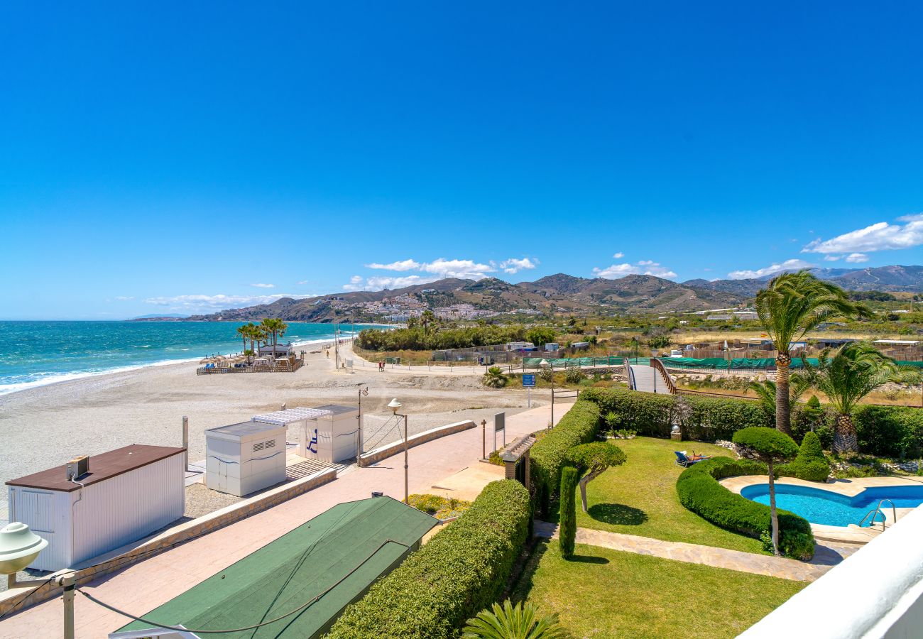 Apartamento en Nerja - Stella Maris Beachfront 1J by Casasol